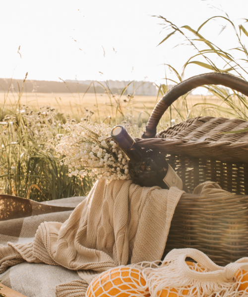 Picknick